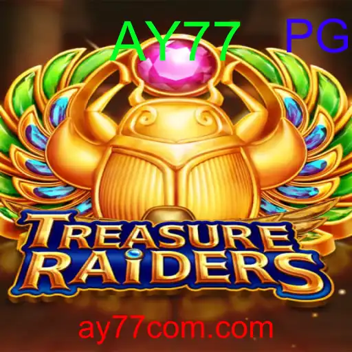 TREASURERAIDERS